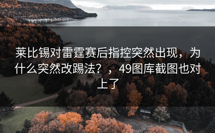 莱比锡对雷霆赛后指控突然出现，为什么突然改踢法？，49图库截图也对上了