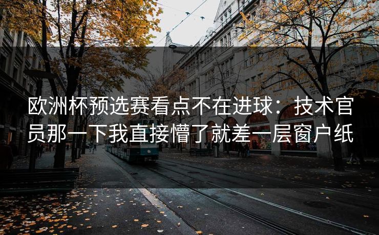 欧洲杯预选赛看点不在进球：技术官员那一下我直接懵了就差一层窗户纸  第1张